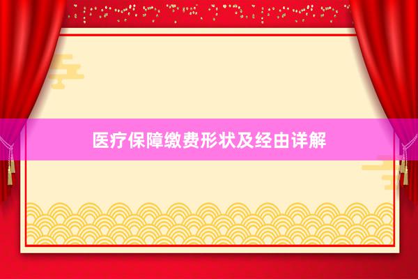 医疗保障缴费形状及经由详解