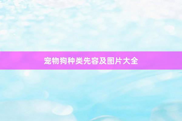 宠物狗种类先容及图片大全