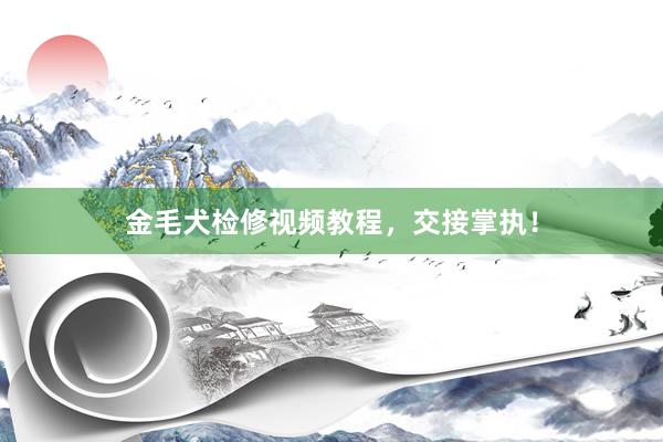 金毛犬检修视频教程，交接掌执！