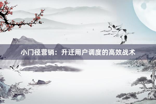 小门径营销：升迁用户调度的高效战术